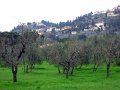 Fiesole Country Views-11